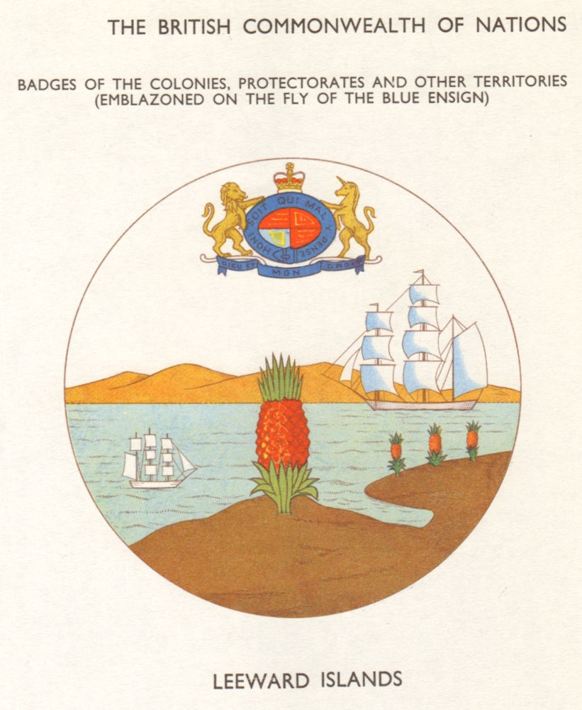 WEST INDIES FLAGS. Badges. Leeward Islands 1965 old vintage print picture