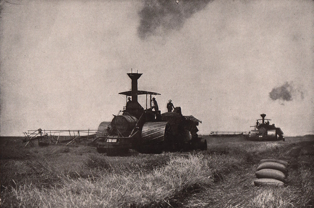 Associate Product Combined Steam Harvester at Work in the Field. Farming 1903 old antique print