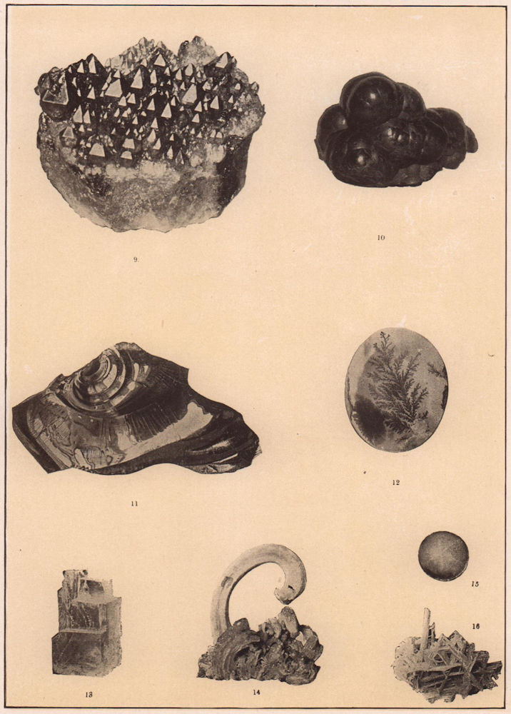 Associate Product Mineralogy Amethyst Crystal Reniform Hematite Agate Halite Gypsum Cerussite 1903