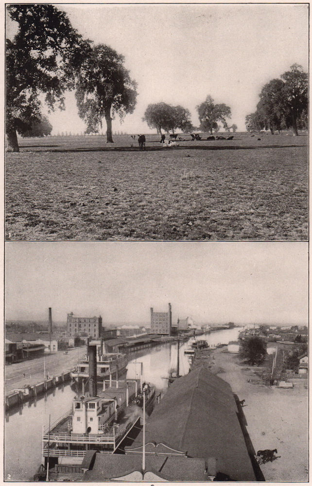 Associate Product 1. Typical Pasture Scene in Central California. 2. View of Stockton Harbor 1904