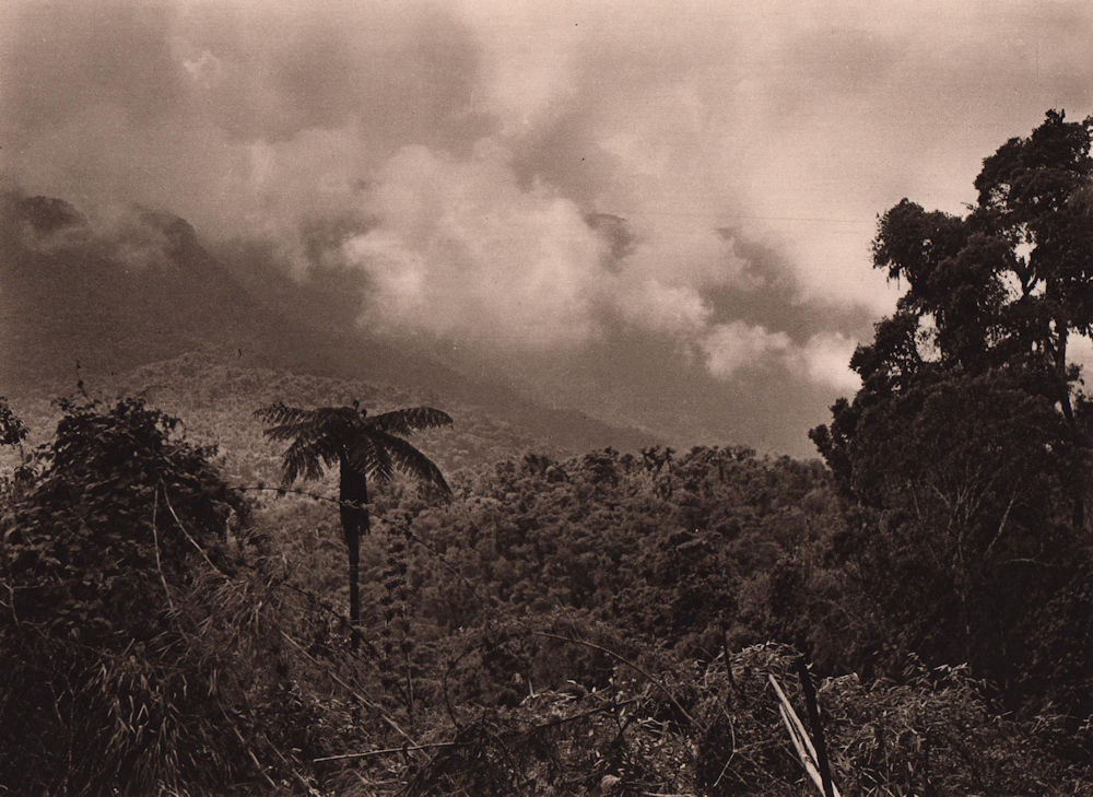In the forests of the rainy zone near Cochabamba. Bolivia 1928 old print