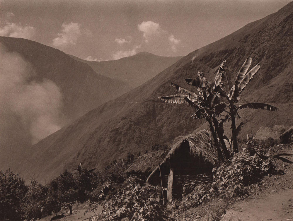 The Unduavi Valley in the Yungas zone. Bolivia 1928 old vintage print picture