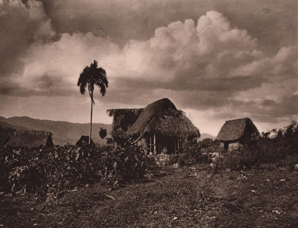 The huts of the village of Mapiri. Bolivia 1928 old vintage print picture