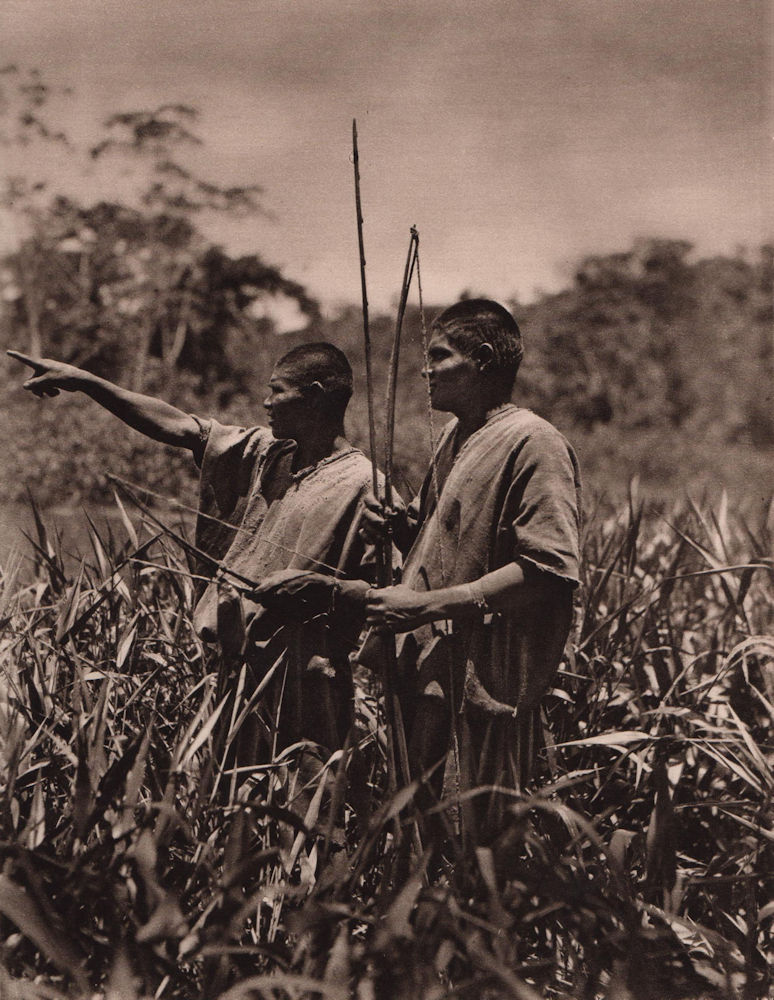 Two Chimane/Tsimané Indians on a hunting trip. Bow & arrow. Bolivia 1928 print