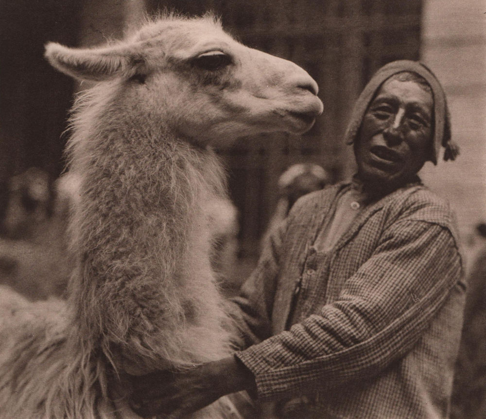 An Aymara Indian with his llama. Bolivia 1928 old vintage print picture