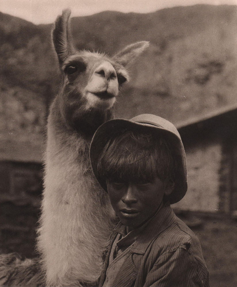 Aymara Indian with a llama at Chojñacota. Bolivia 1928 old vintage print