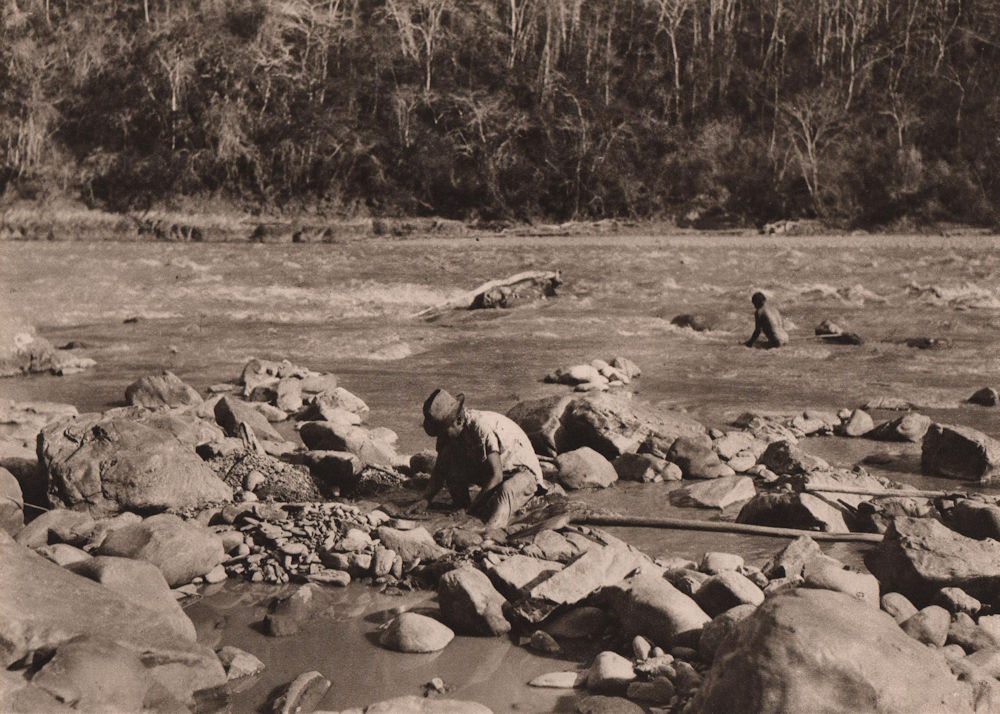 Gold washers on the River Mapiri. Bolivia 1928 vintage print picture
