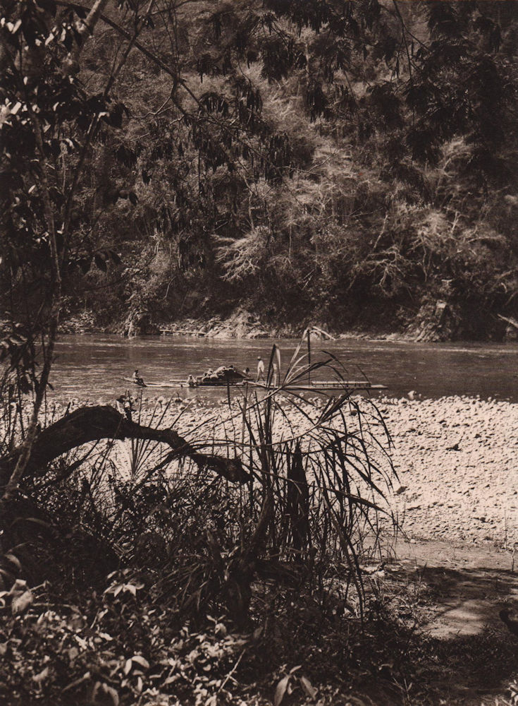 Associate Product The borders of the River Mapiri, covered with tropical forests. Bolivia 1928