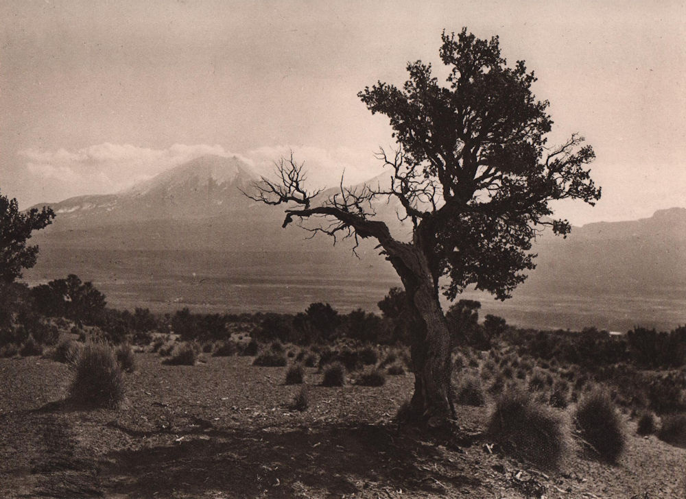 Sajama environs. Extinct twin-volcano Payachata. Bolivia 1928 old print