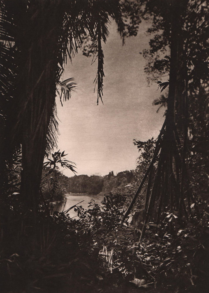 The River Cojiro, the habitat of the Chimane / Tsimané Indians. Bolivia 1928