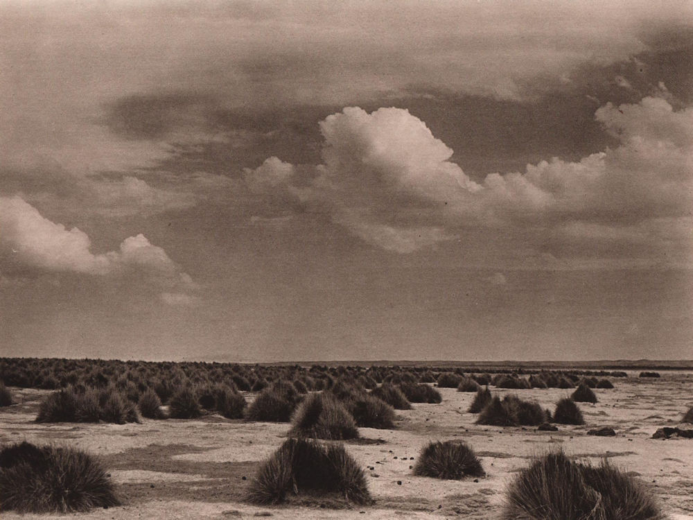 The desert of Carangas. Bolivia 1928 old vintage print picture