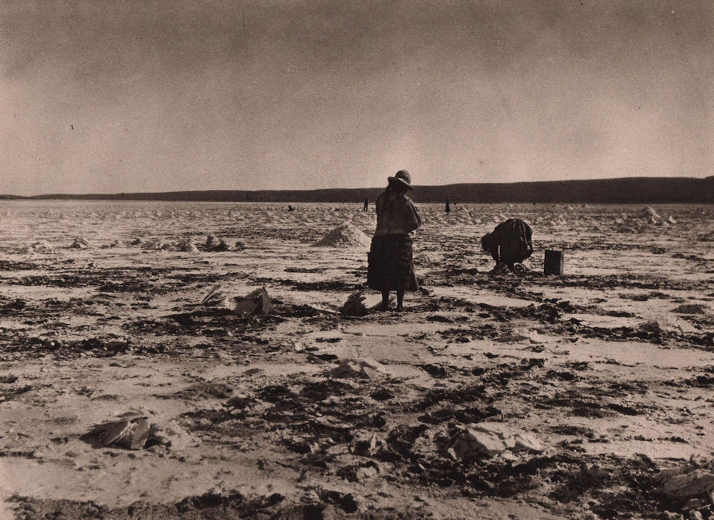 Indian women collecting salt, Lake Carnasa, Corque, Carangas. Bolivia 1928