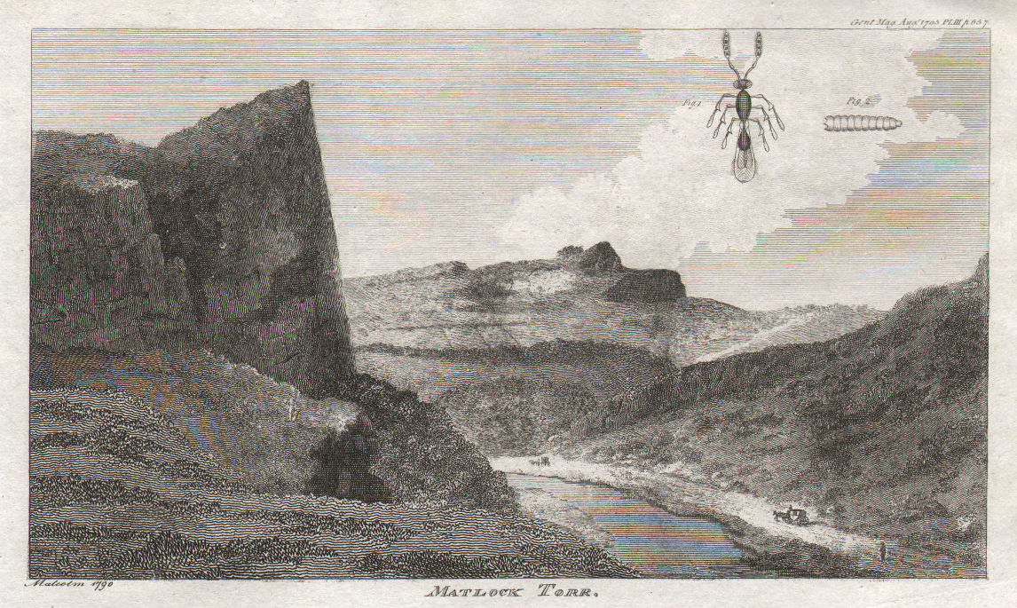 View of Matlock High Tor, Derbyshire. The blight insect 1795 old antique print