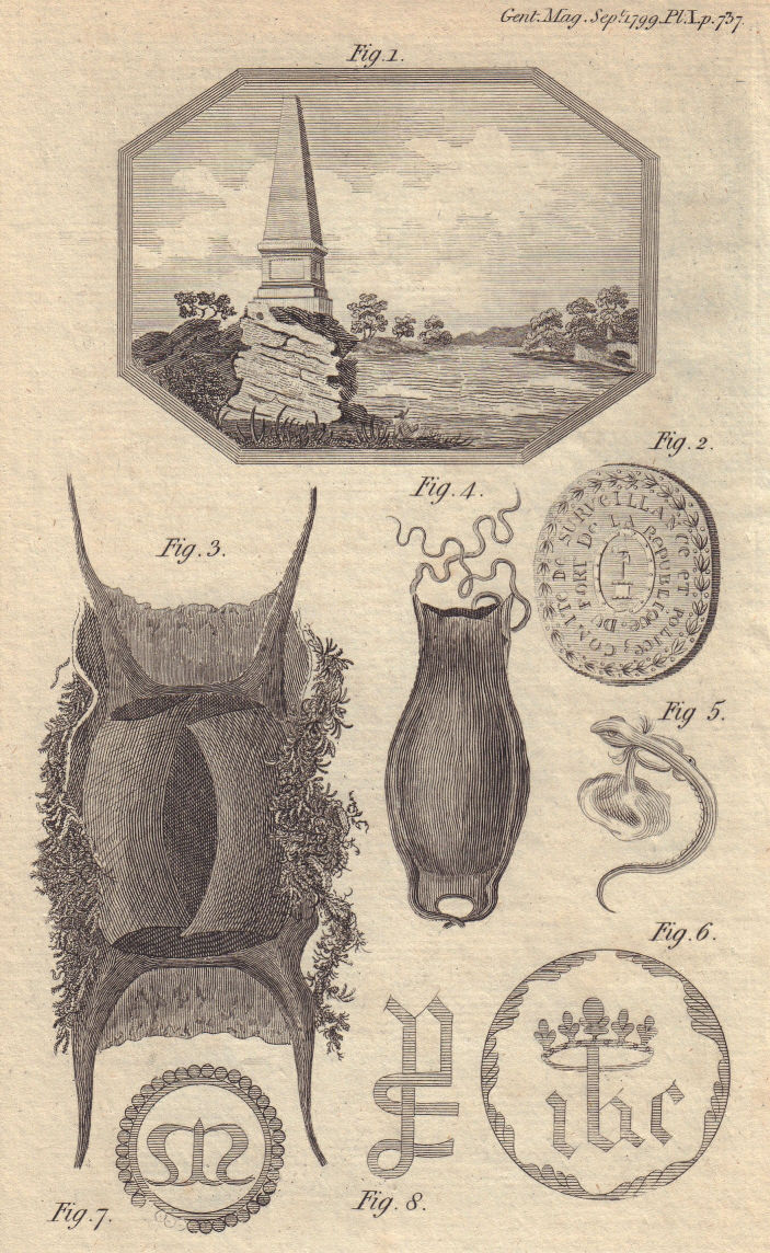 Boyne Obelisk, Oldbridge, County Meath. Modern seal. Marine plants 1799 print