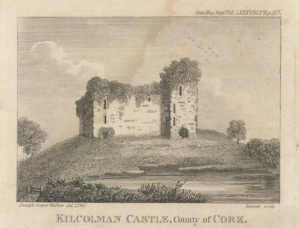 View of the Remains of Kilcolman Castle, County Cork. Ireland 1818 old print