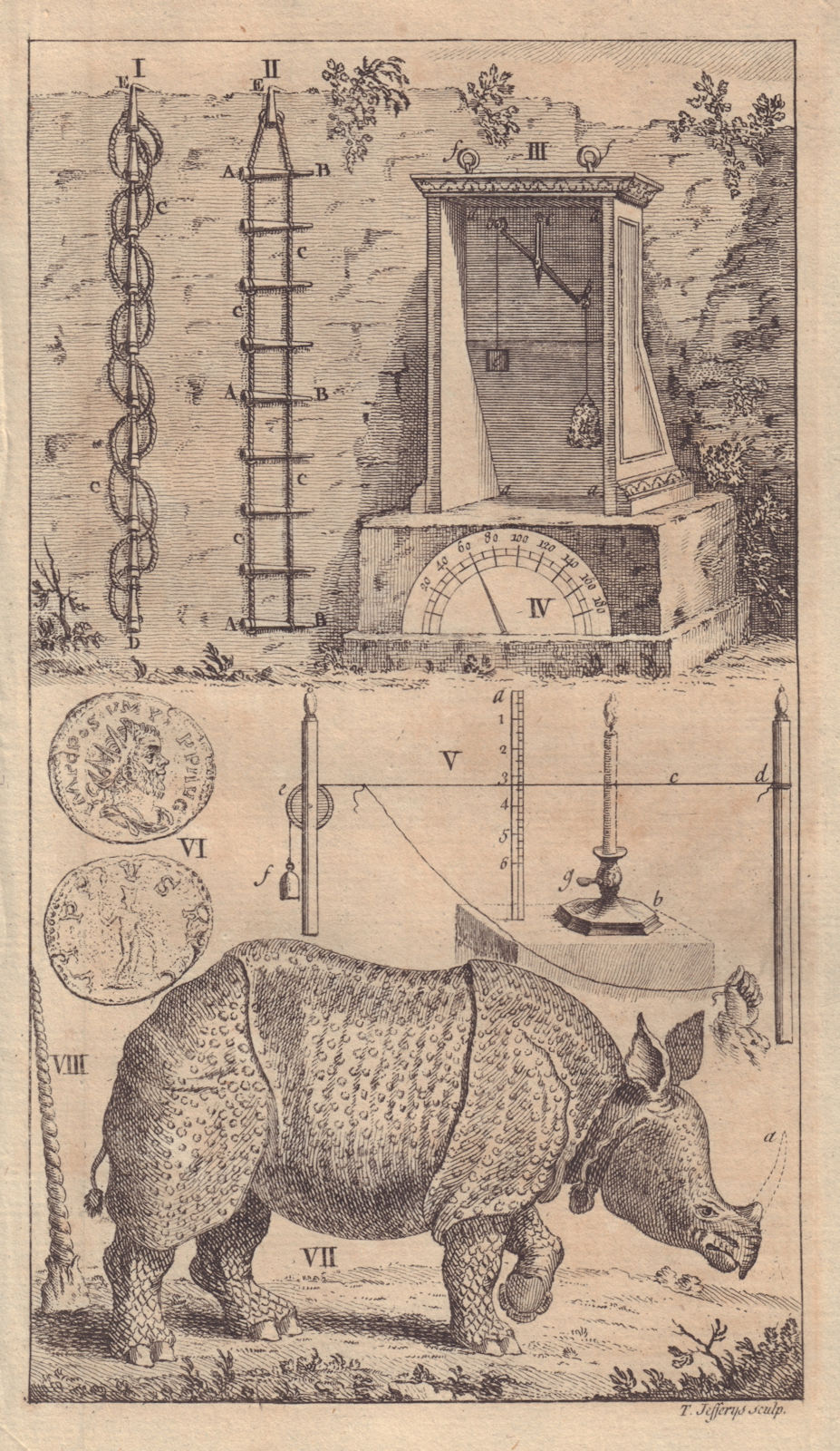 Associate Product Scaling Ladders Hygrometer Roman Coin Posthumus Rhinoceros Narwhal horn 1747