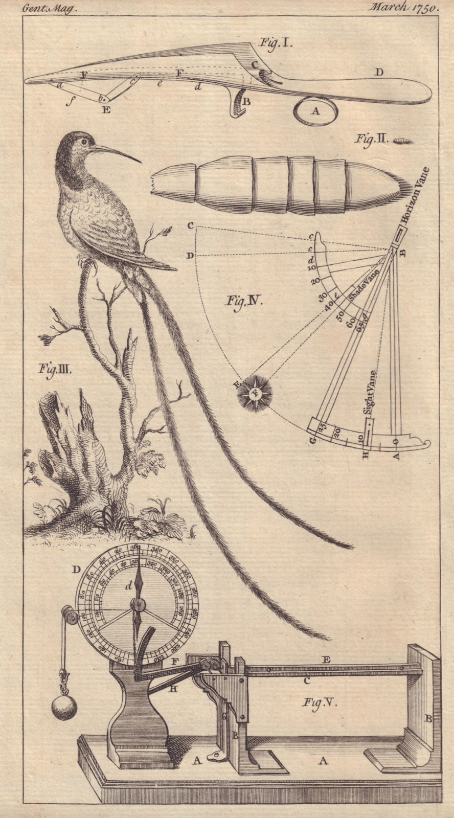 Associate Product Gorget Surgical Instrument Davis's Quadrant Hummingbird Ellicot's Pyrometer 1750