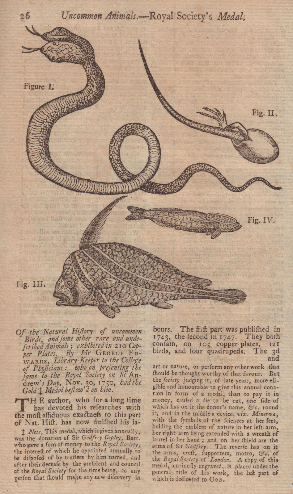 Associate Product Double-headed snake. A Lizard in its Shell. Ribband Fish. Sucking Fish 1751