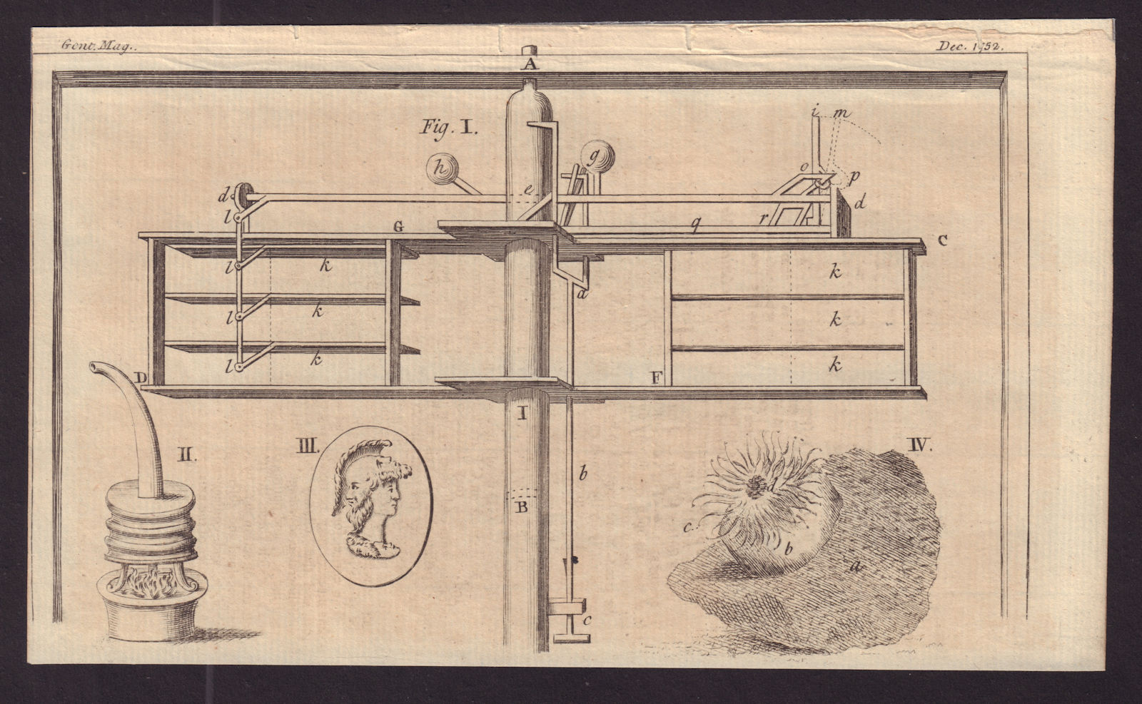 Horizontal Windmill. Fumigating Machine. Roman Amulet or Chimera. Zoophyte 1752