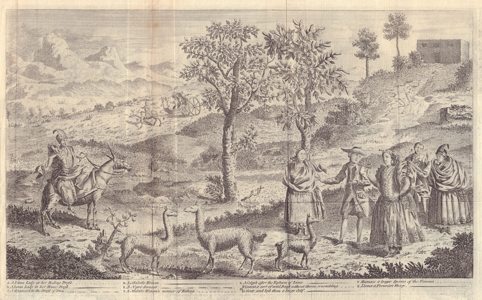 Inhabitants of Lima; their animals, the Vicuña and the Lama. Peru 1753 print