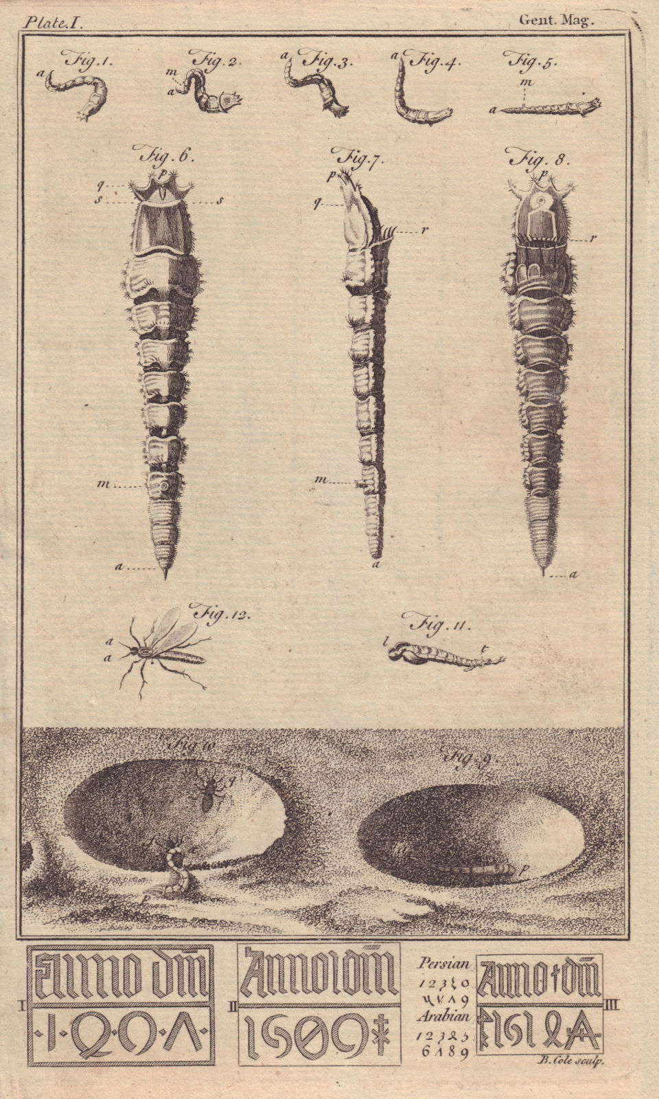 The Lion Worm. Dates on London Bridge. Persian and Arabic Numerals 1758 print