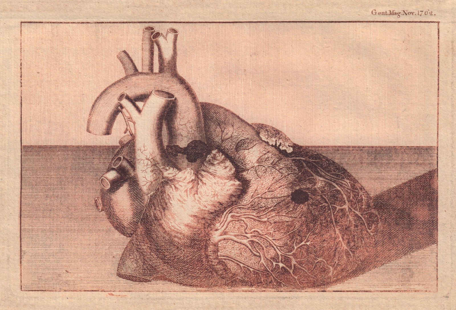 Associate Product A Representation of the Heart of his late Majesty King George II 1762 print