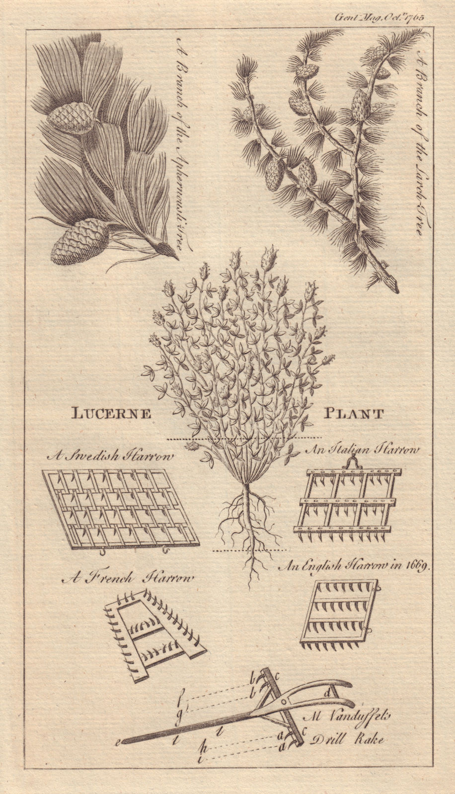 Associate Product Aphernousli Pine-tree. Larch. Lucerne Plant. Harrows. Drill-rake 1765 print