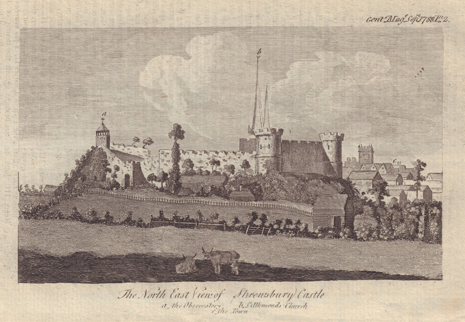 The North East View of Shrewsbury Castle, Shropshire. GENTS MAG 1788 old print