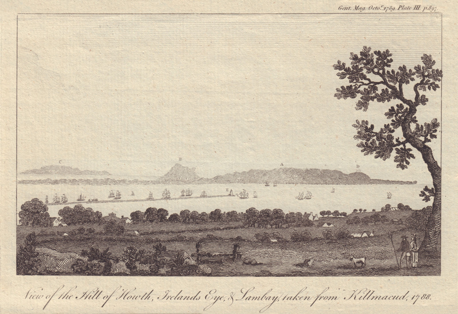 The Hill of Howth, Ireland's Eye & Lambay taken from Killmacud. Dublin 1789