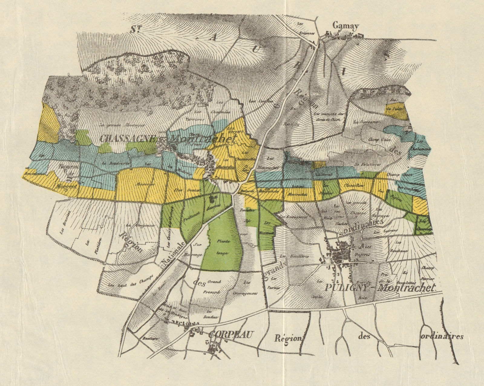 BURGUNDY BOURGOGNE VINEYARD MAP Beaune Puligny/Chassagne-Montrachet RODIER 1920