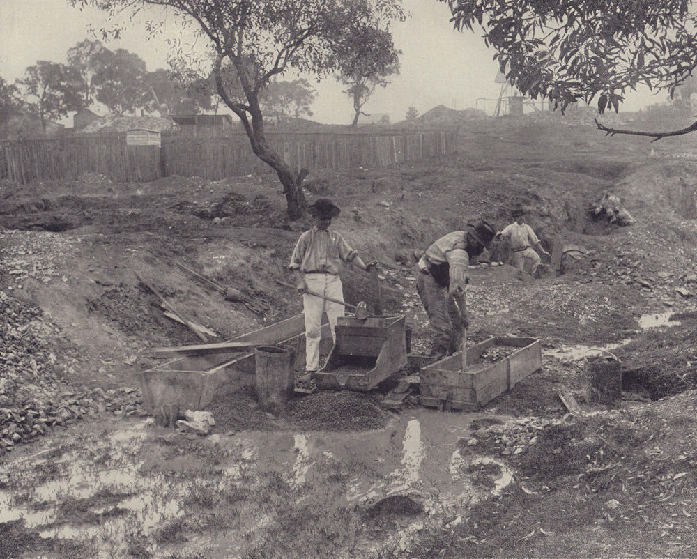 Australian gold diggings. The cradle at work. STODDARD 1895 antique print