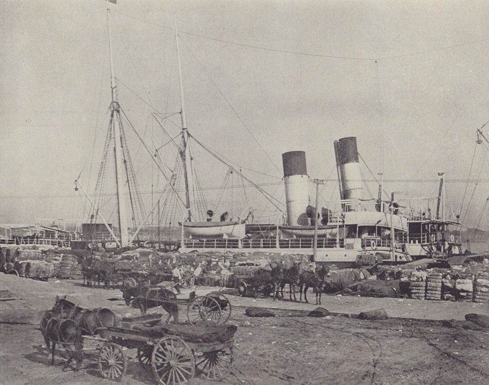 Associate Product Loading a cotton steamer, New Orleans. Louisiana. STODDARD 1895 old print