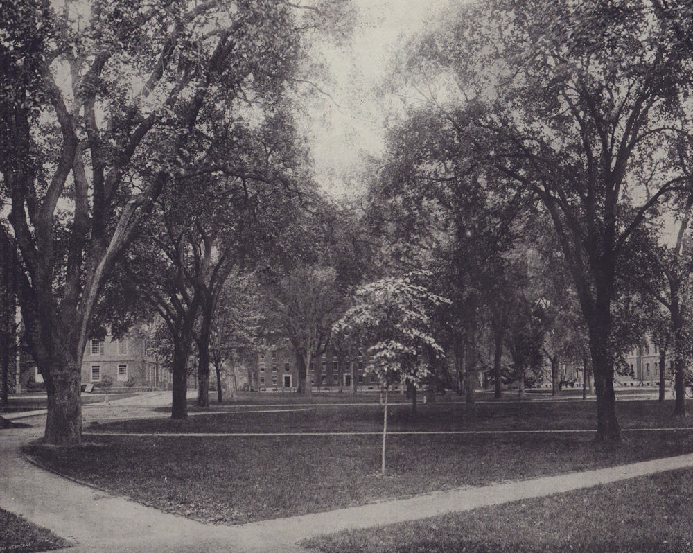 Harvard Yard, Massachusetts. University Courtyard. STODDARD 1895 old print