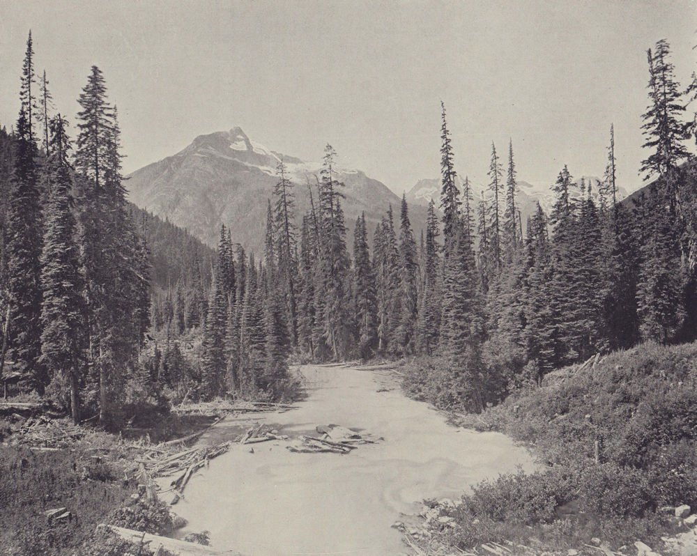 The Illiciwaet Glacier, Mount Sir Donald, British Columbia. STODDARD 1895