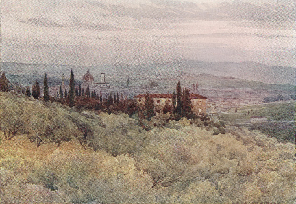 Florence from the olive gardens of San Domenico by Alexander Murray. Italy 1904