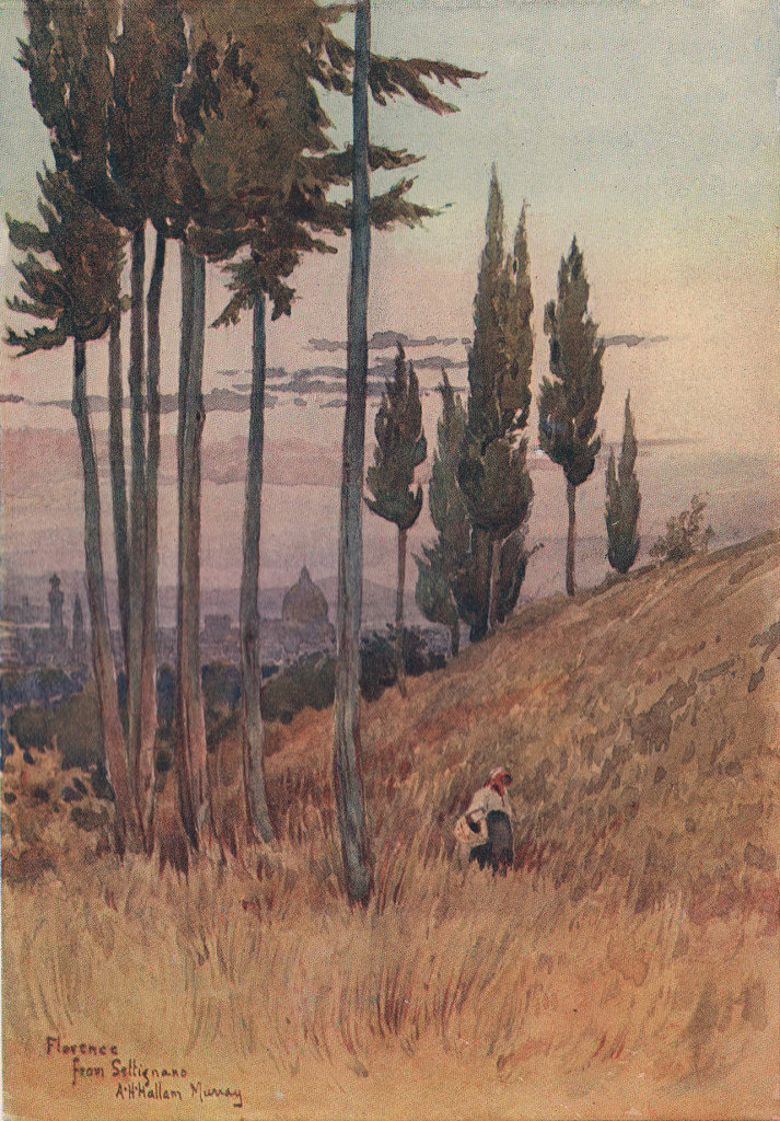Florence from Poggio Gherardo by Alexander Murray. Italy 1904 old print