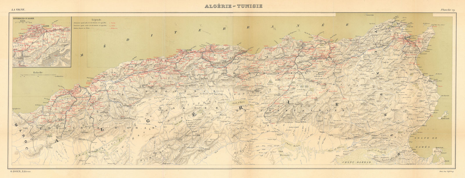 Algérie Tunisie. Algeria & Tunisia. French North Africa wine map HAUSERMANN 1901
