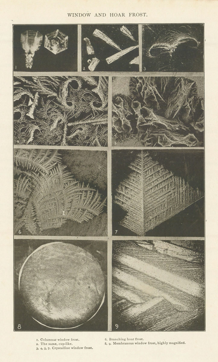 Associate Product WINDOW & HOAR FROST. Columnar Crystalline Branching Membranous 1907 old print