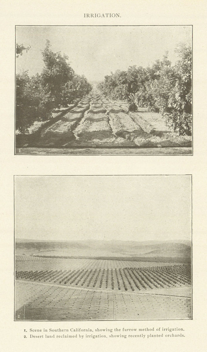 IRRIGATION Southern California furrow method. Reclaimed desert orchards 1907
