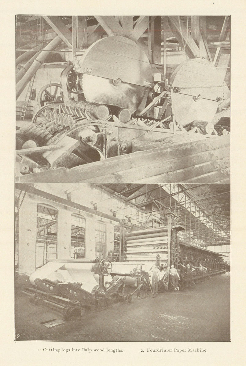 Associate Product Cutting logs into Pulp wood lengths. Fourdrinier Paper Machine 1907 old print