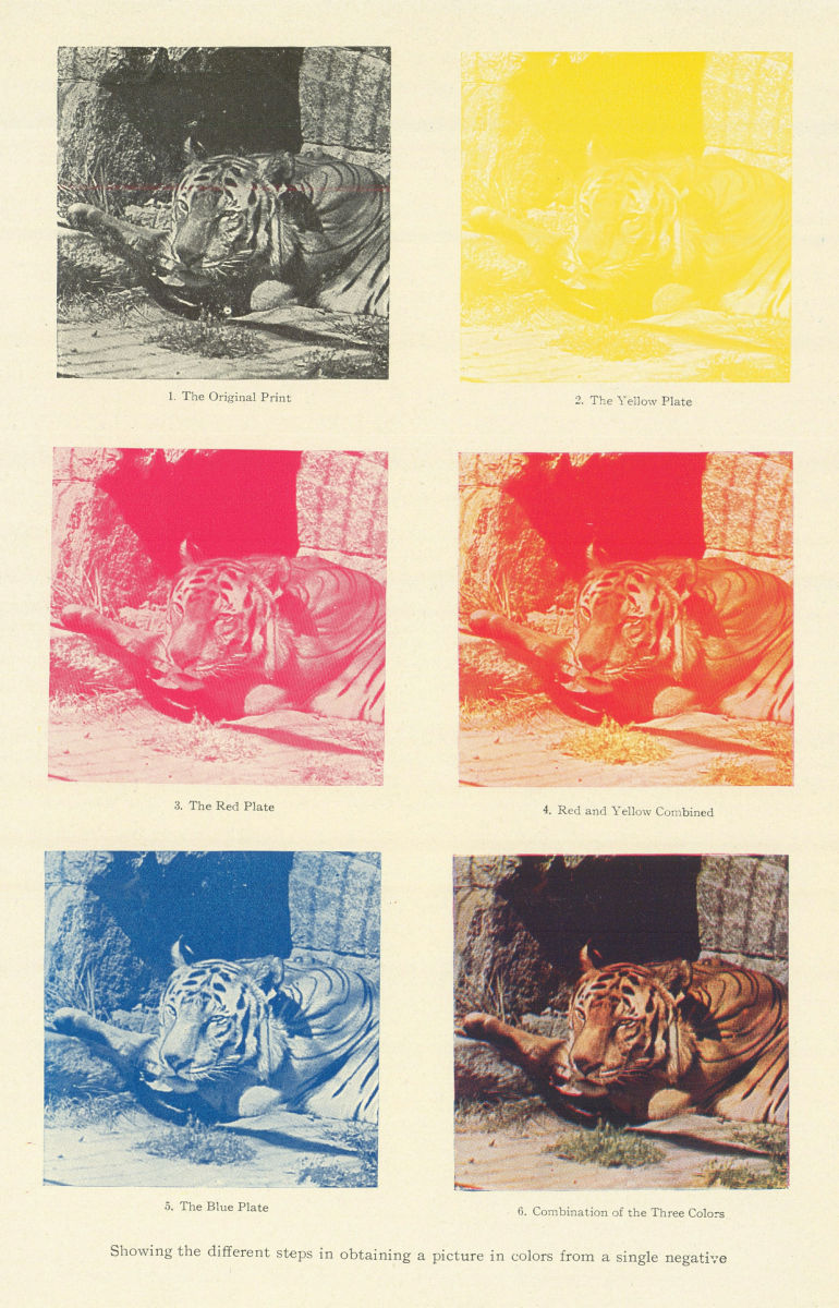 Associate Product Colour picture from three plates. Negative Yellow Red Blue Combined 1907 print