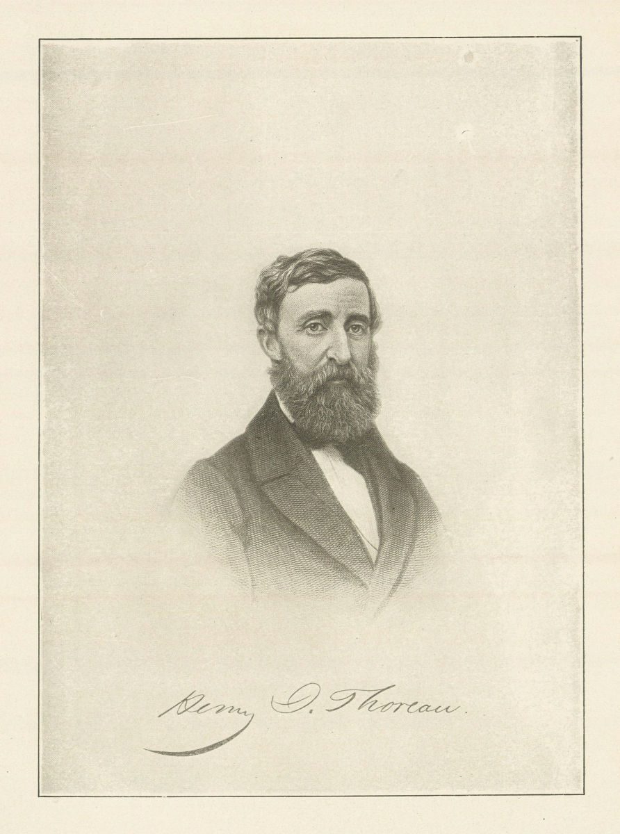 Henry David Thoreau. USA 1907 old antique vintage print picture