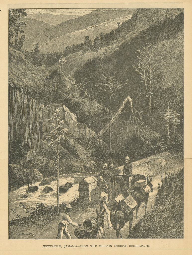 Associate Product Newcastle, Jamaica - from the Morton d'Orsay bridle-path 1889 old print
