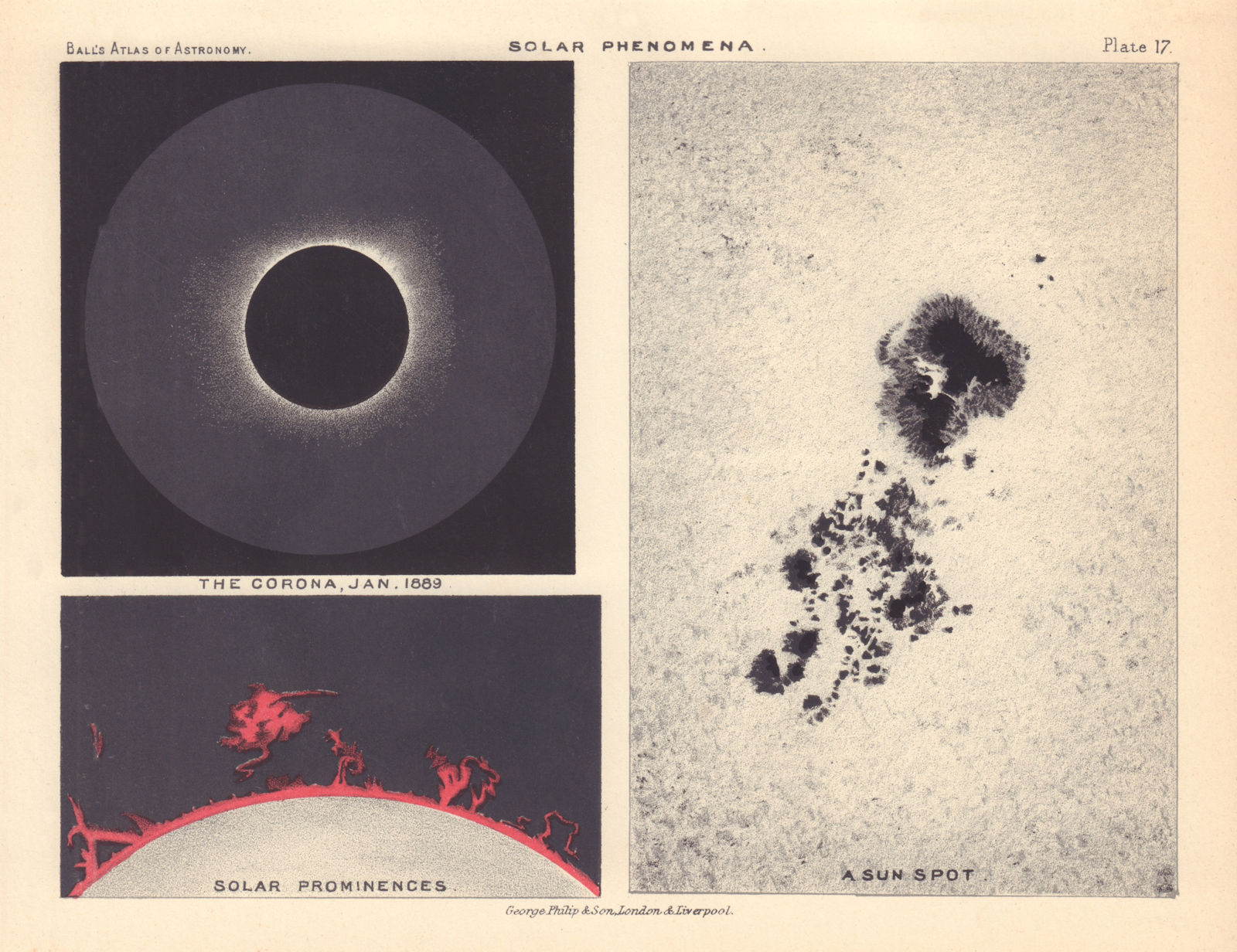 Solar Phenomena Sun spot Prominences Corona 1889. By Robert Ball. Astronomy 1892
