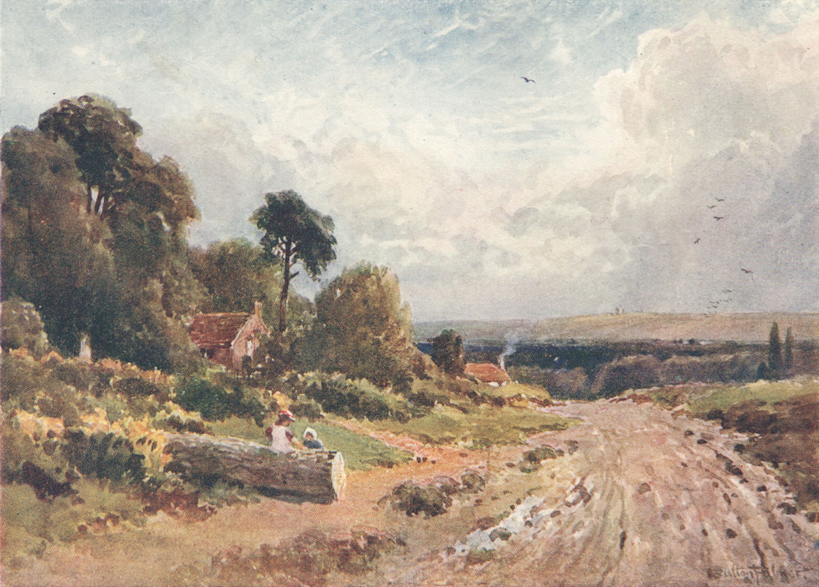 A Common near Newbury, Berkshire by Sutton Palmer 1920 old antique print