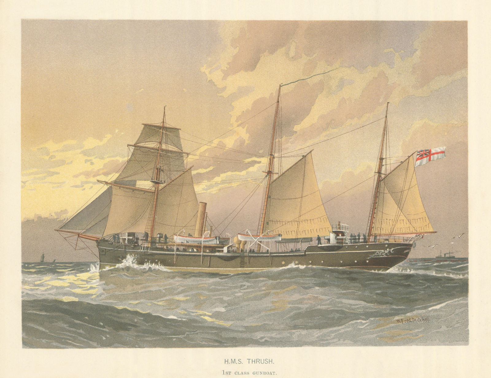 H.M.S. "Thrush" - 1st class gunboat (1889) by W.F. Mitchell. Royal Navy 1893