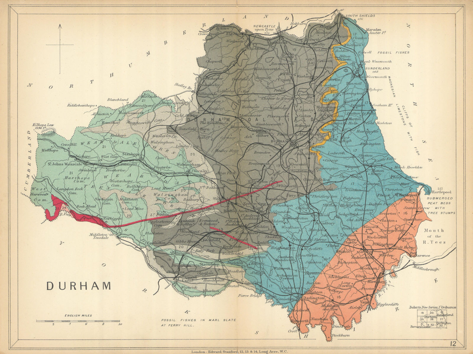COUNTY DURHAM Geological map. STANFORD 1904 old antique vintage plan chart