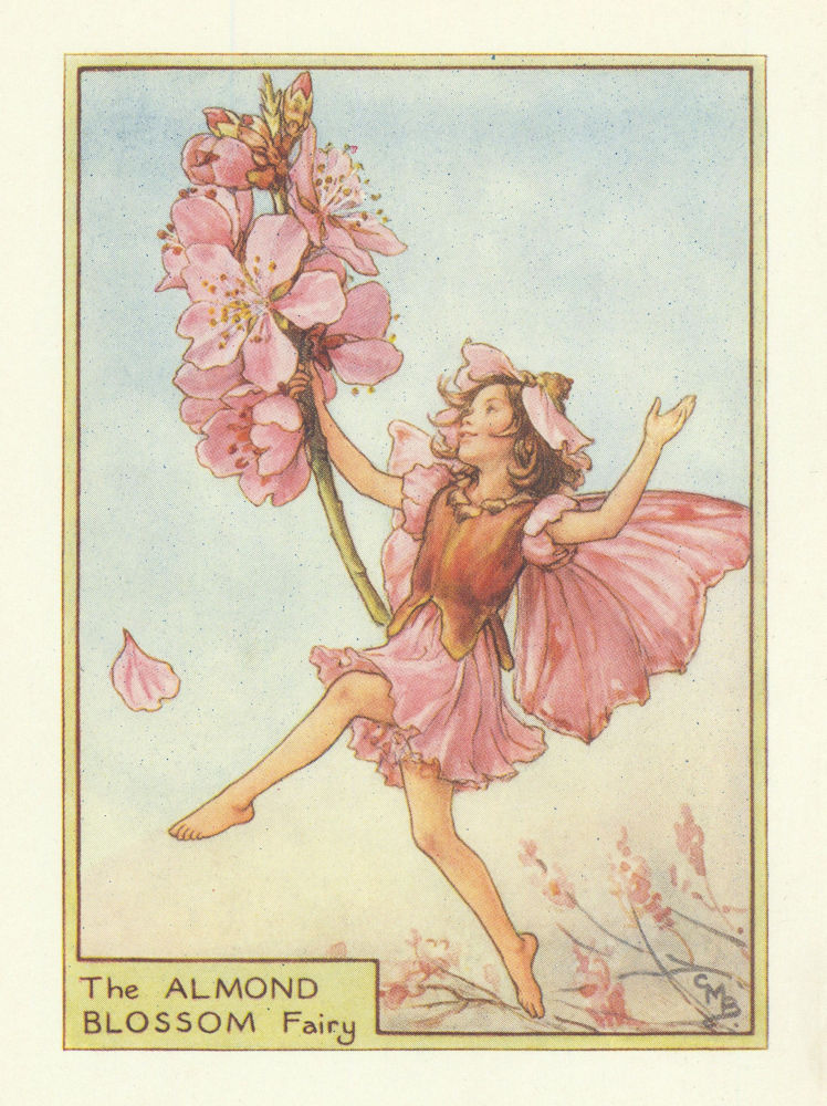 Almond Blossom Fairy by Cicely Mary Barker. Flower Fairies of the Trees c1940