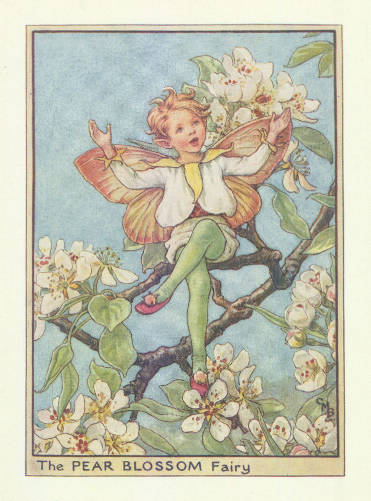 Associate Product Pear Blossom Fairy by Cicely Mary Barker. Flower Fairies of the Trees c1940