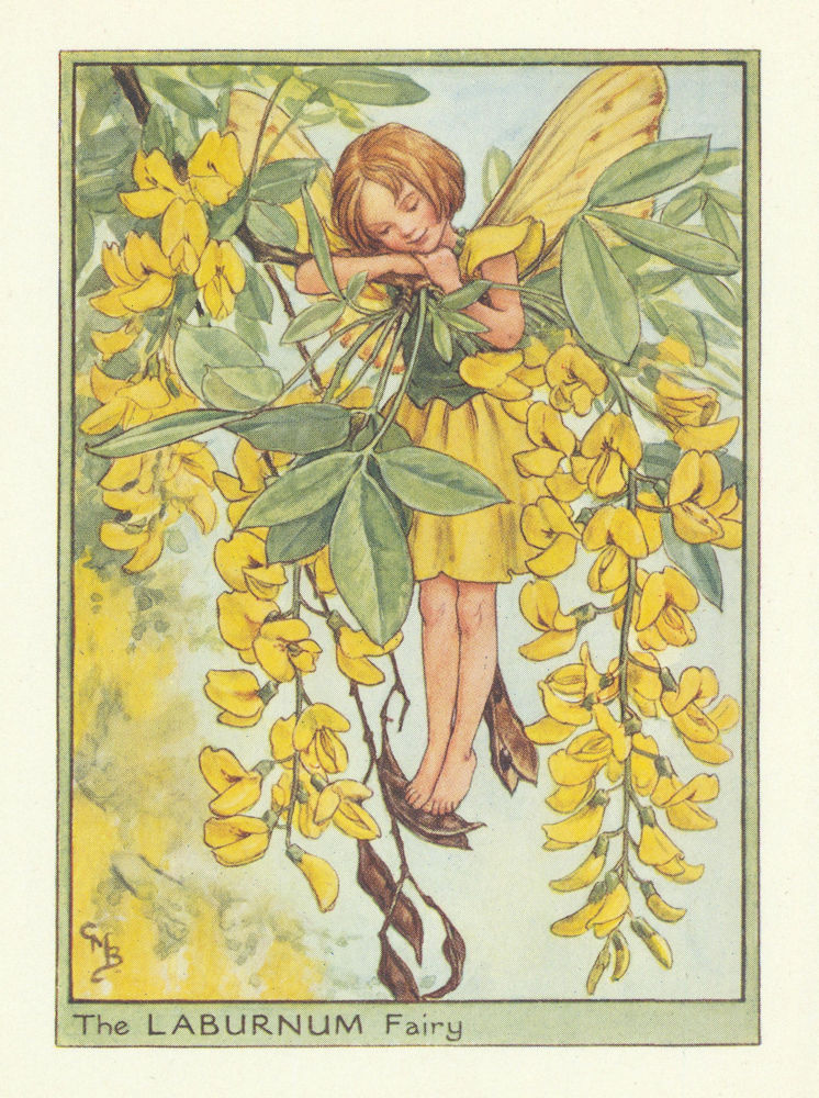 Associate Product Laburnam Fairy by Cicely Mary Barker. Flower Fairies of the Trees c1940 print